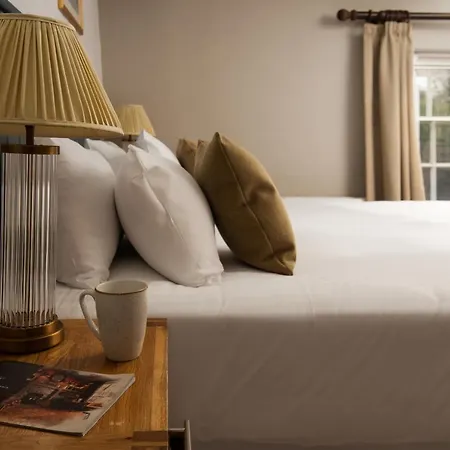 The Angel - The Collection Group