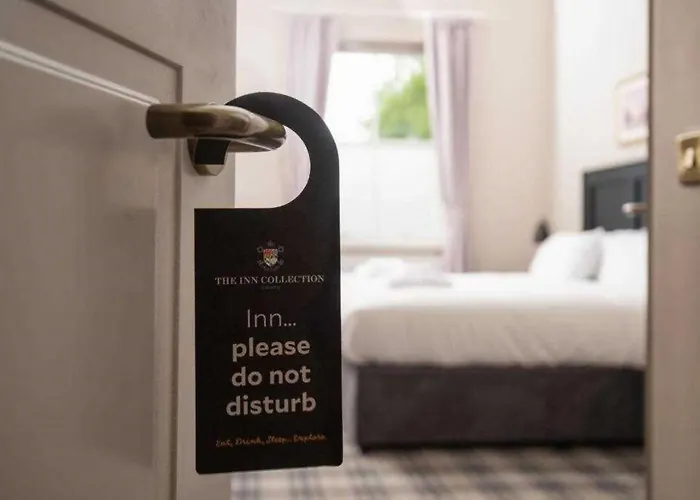 The Angel - The Collection Group