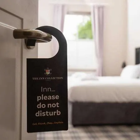 The Angel - The Collection Group