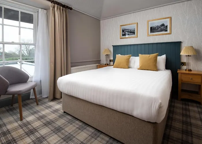 The Angel - The Collection Group